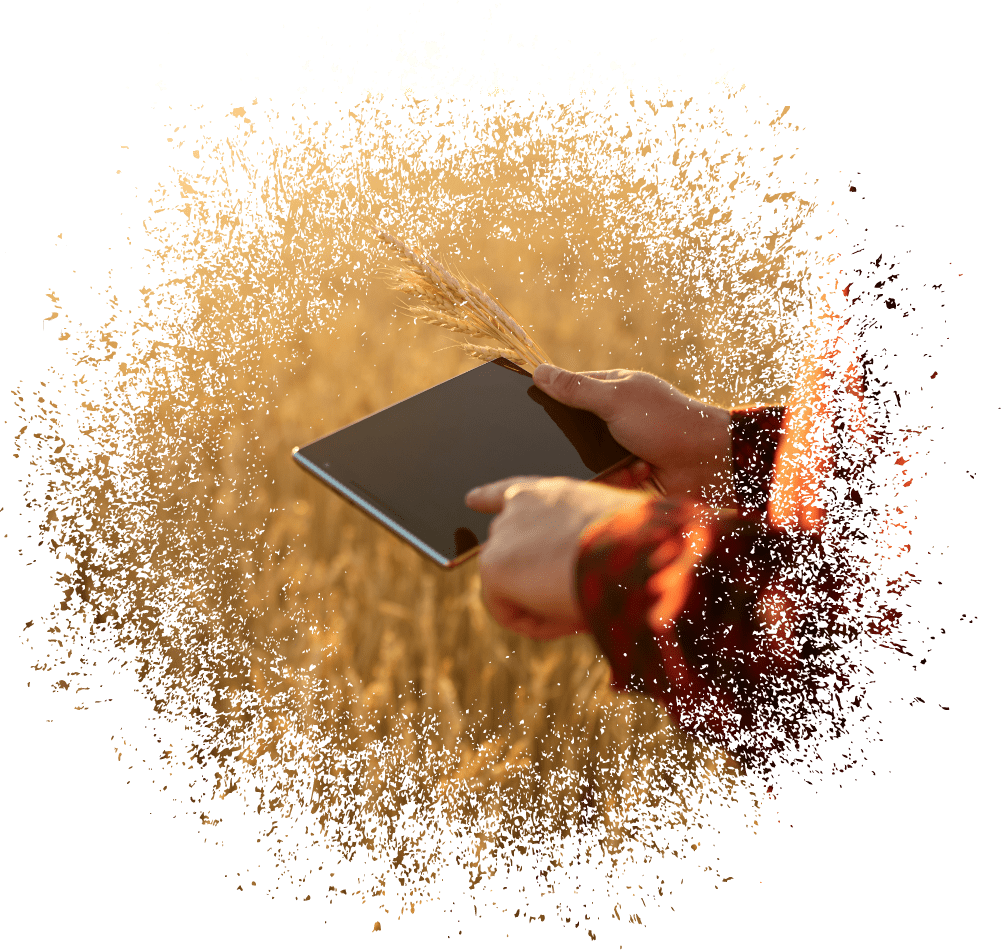 Farmer in Field Using a Tablet