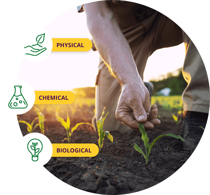 Words Physical Chemical Biological and Man Analyzing Green Plant in Field 